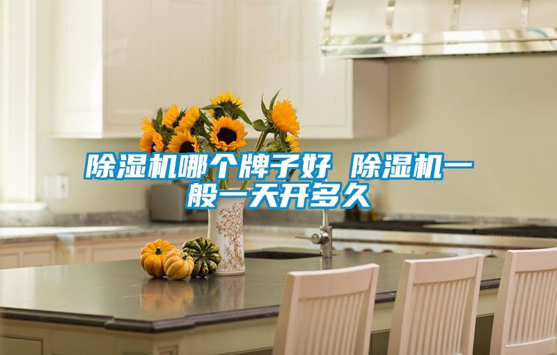 除濕機哪個牌子好 除濕機一般一天開多久
