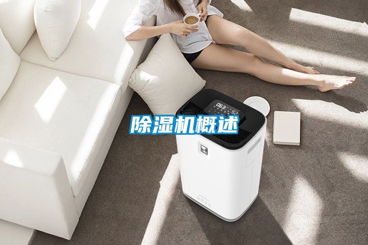 除濕機(jī)概述