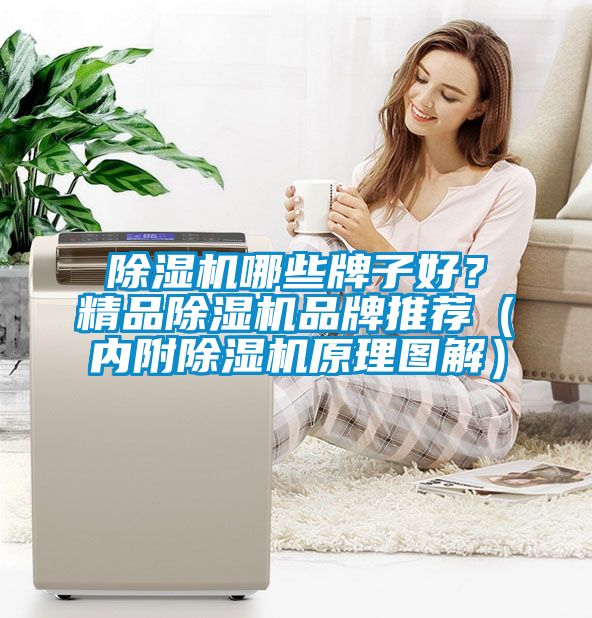 除濕機哪些牌子好？精品除濕機品牌推薦（內附除濕機原理圖解）