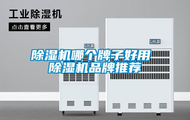 除濕機哪個牌子好用 除濕機品牌推薦