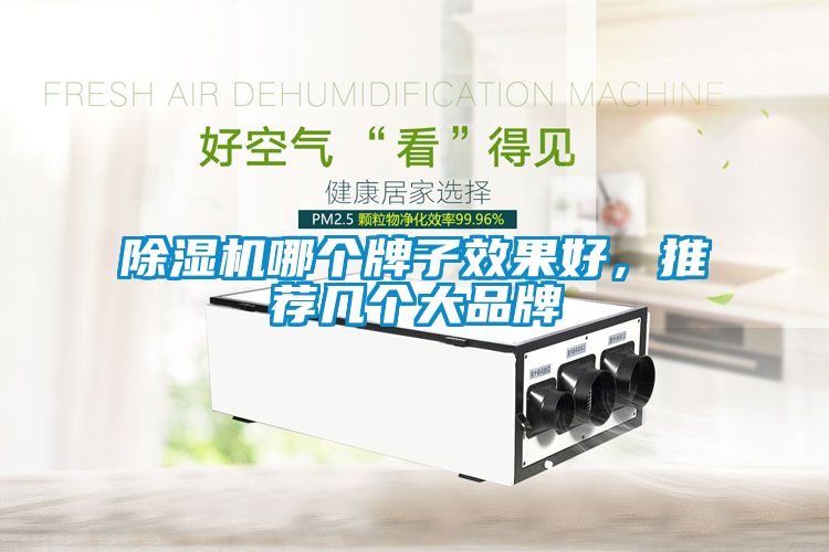 除濕機(jī)哪個牌子效果好，推薦幾個大品牌