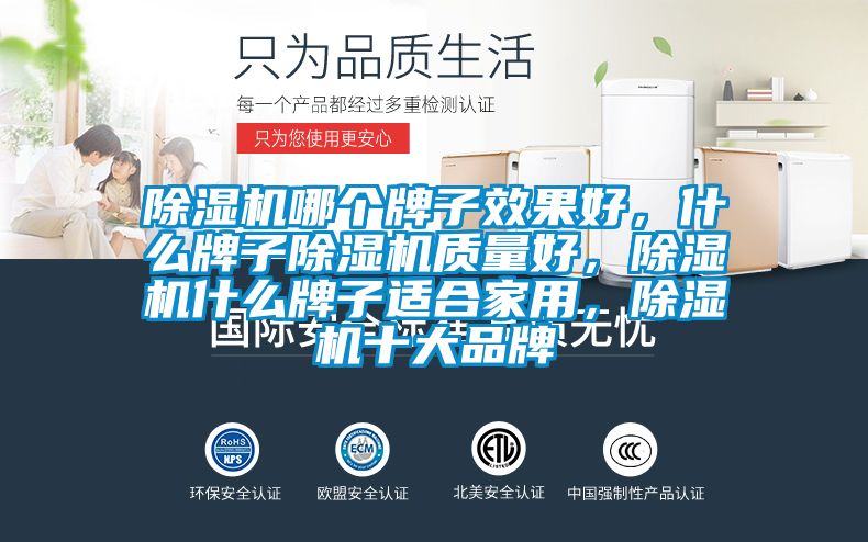 除濕機哪個牌子效果好，什么牌子除濕機質量好，除濕機什么牌子適合家用，除濕機十大品牌