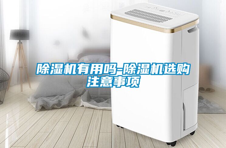 除濕機有用嗎-除濕機選購注意事項