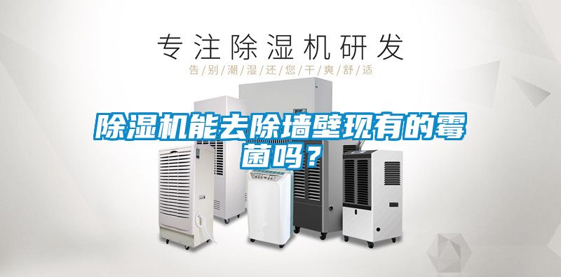 除濕機能去除墻壁現(xiàn)有的霉菌嗎？