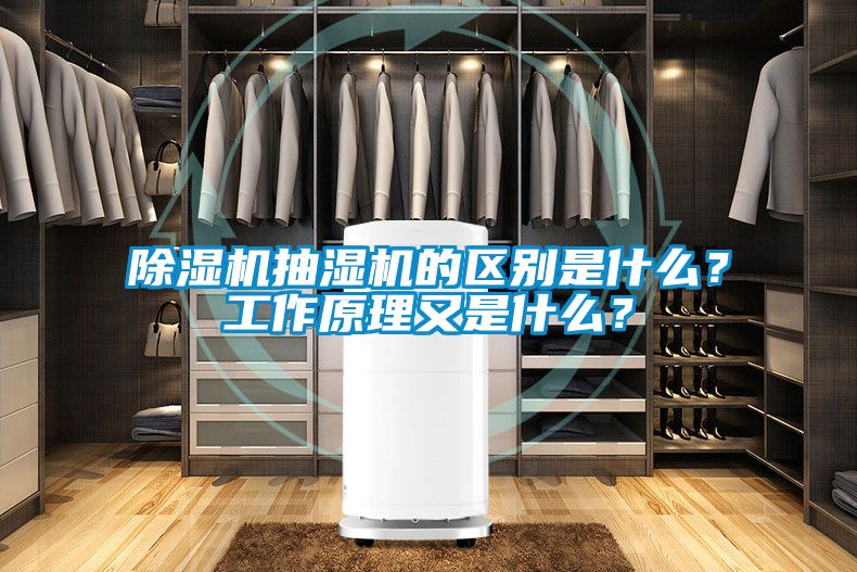 除濕機抽濕機的區別是什么？工作原理又是什么？