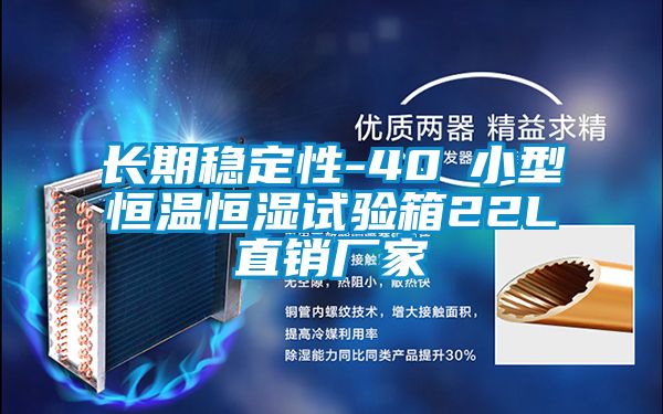 長期穩定性-40℃小型恒溫恒濕試驗箱22L直銷廠家