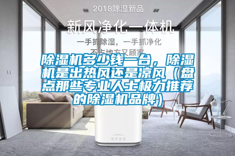 除濕機多少錢一臺，除濕機是出熱風(fēng)還是涼風(fēng)（盤點那些專業(yè)人士極力推薦的除濕機品牌）