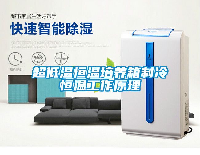 超低溫恒溫培養箱制冷恒溫工作原理