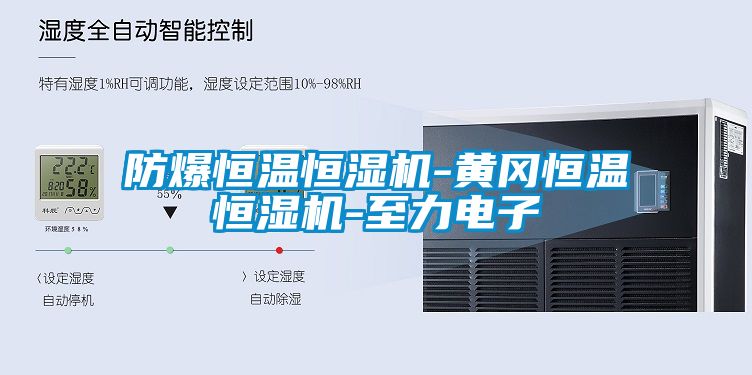 防爆恒溫恒濕機-黃岡恒溫恒濕機-至力電子