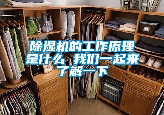 除濕機的工作原理是什么 我們一起來了解一下