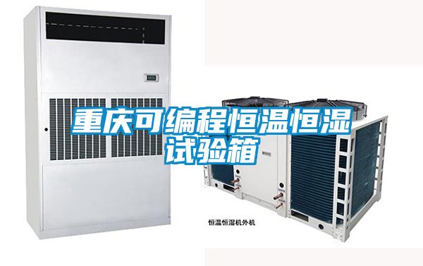重慶可編程恒溫恒濕試驗箱