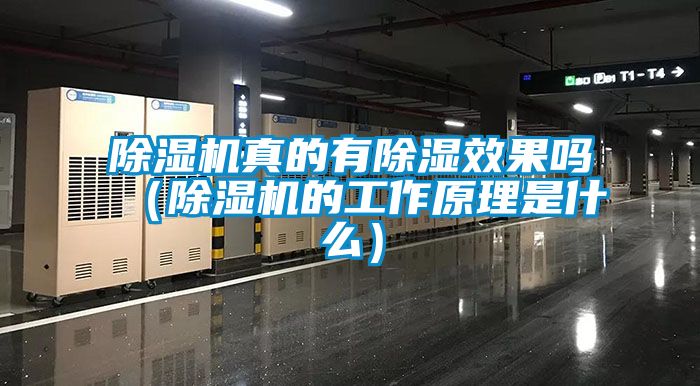 除濕機真的有除濕效果嗎（除濕機的工作原理是什么）