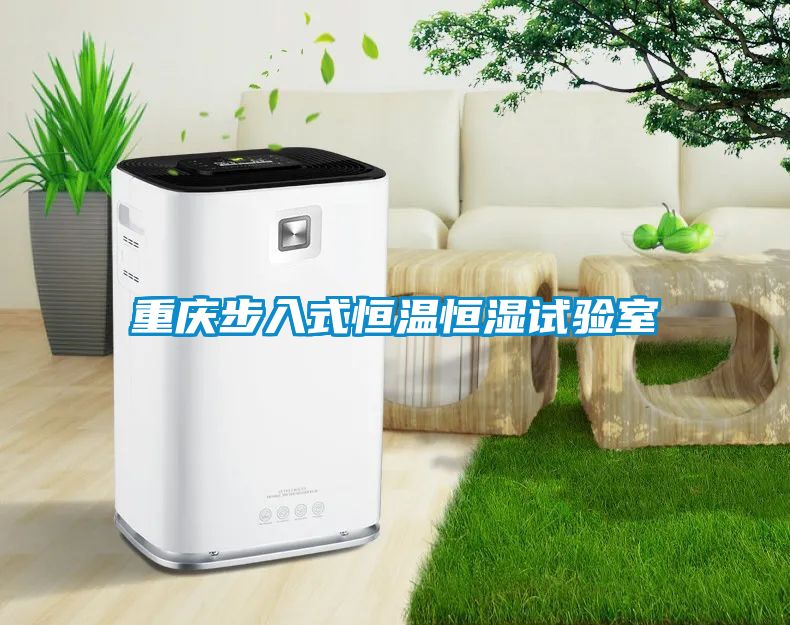 重慶步入式恒溫恒濕試驗室