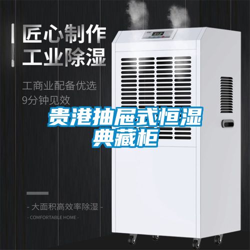 貴港抽屜式恒濕典藏柜