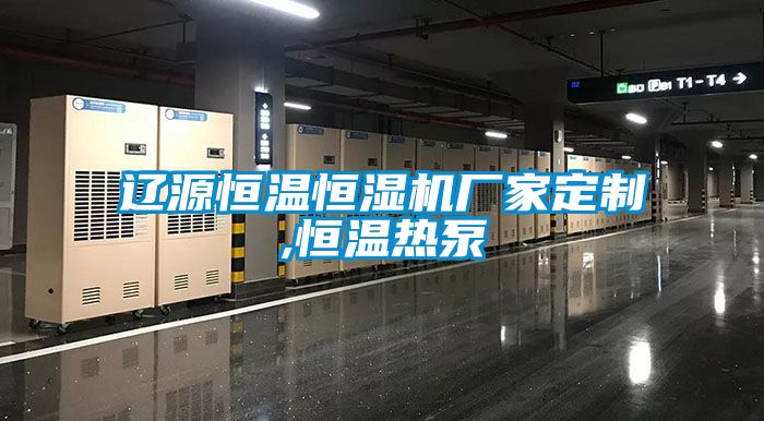 遼源恒溫恒濕機(jī)廠家定制,恒溫?zé)岜?/></p>
<p style=