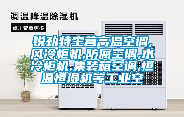銳勁特主營高溫空調,風冷柜機,防腐空調,水冷柜機,集裝箱空調,恒溫恒濕機等工業空