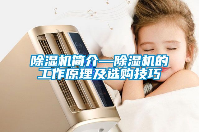 除濕機(jī)簡介—除濕機(jī)的工作原理及選購技巧