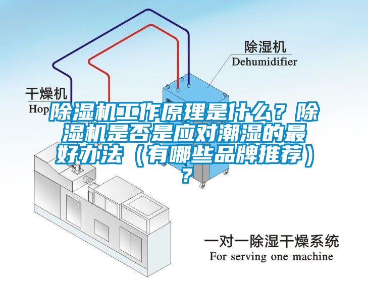 除濕機工作原理是什么？除濕機是否是應對潮濕的最好辦法（有哪些品牌推薦）？