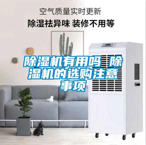 除濕機有用嗎 除濕機的選購注意事項
