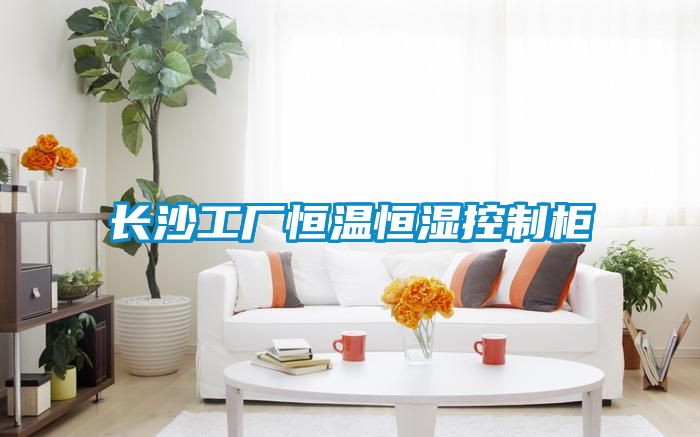 長沙工廠恒溫恒濕控制柜