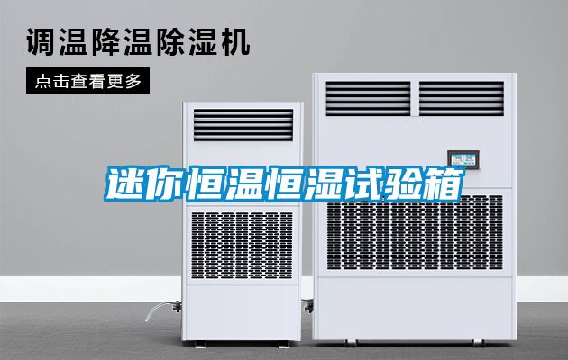 迷你恒溫恒濕試驗箱