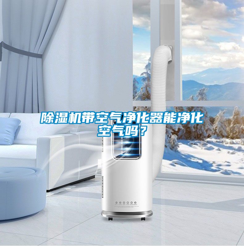 除濕機帶空氣凈化器能凈化空氣嗎？