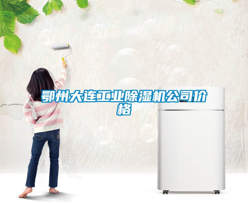 鄂州大連工業(yè)除濕機(jī)公司價(jià)格