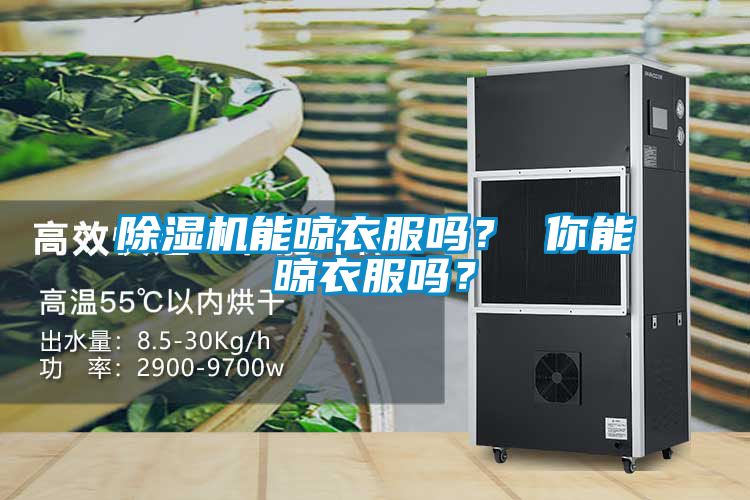 除濕機能晾衣服嗎？ 你能晾衣服嗎？