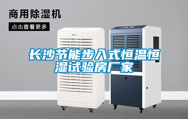 長沙節(jié)能步入式恒溫恒濕試驗房廠家