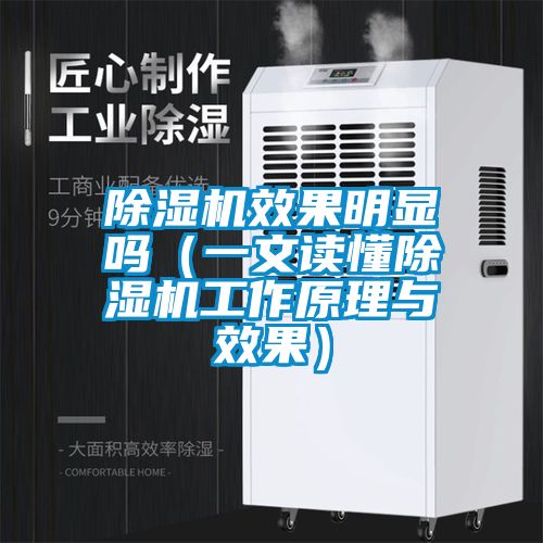 除濕機效果明顯嗎（一文讀懂除濕機工作原理與效果）