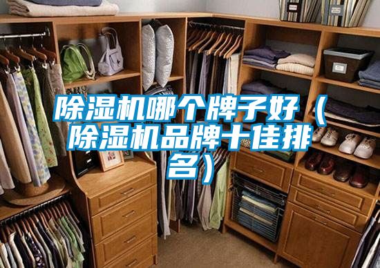 除濕機(jī)哪個(gè)牌子好（除濕機(jī)品牌十佳排名）
