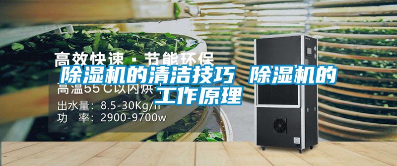 除濕機的清潔技巧 除濕機的工作原理