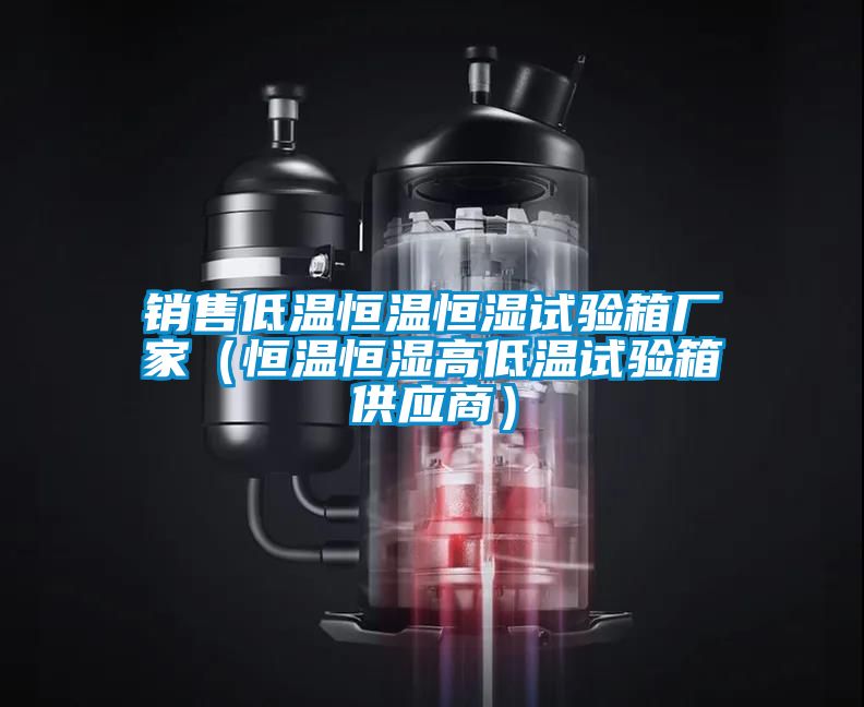 銷售低溫恒溫恒濕試驗箱廠家（恒溫恒濕高低溫試驗箱供應(yīng)商）