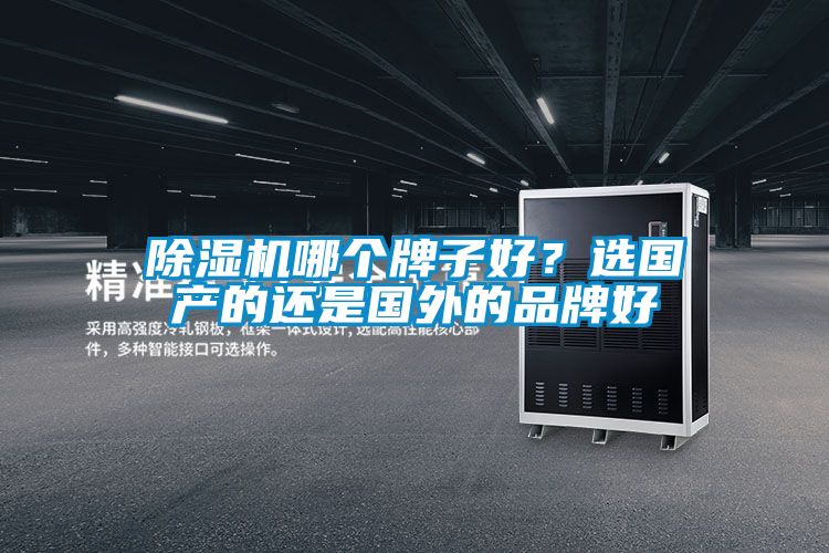 除濕機哪個牌子好？選國產(chǎn)的還是國外的品牌好