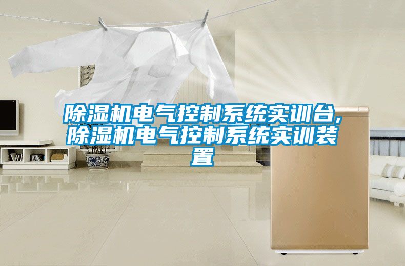 除濕機(jī)電氣控制系統(tǒng)實(shí)訓(xùn)臺(tái),除濕機(jī)電氣控制系統(tǒng)實(shí)訓(xùn)裝置