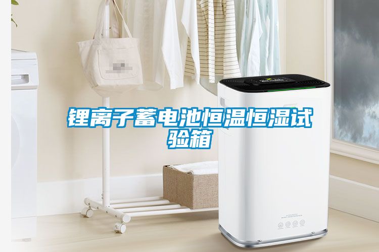 鋰離子蓄電池恒溫恒濕試驗箱