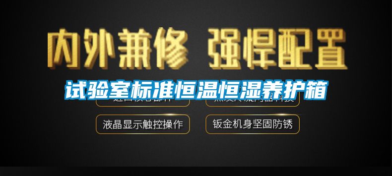 試驗室標(biāo)準(zhǔn)恒溫恒濕養(yǎng)護(hù)箱