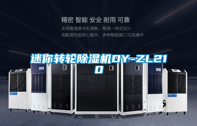 迷你轉(zhuǎn)輪除濕機DY-ZL210