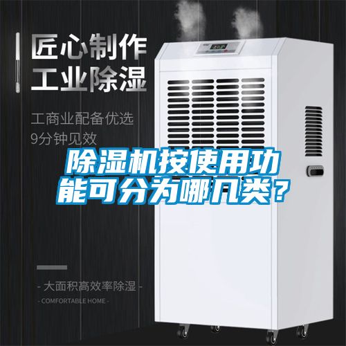 除濕機按使用功能可分為哪幾類？