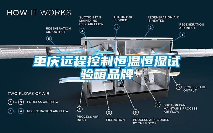 重慶遠程控制恒溫恒濕試驗箱品牌