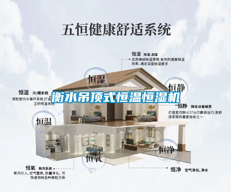 衡水吊頂式恒溫恒濕機