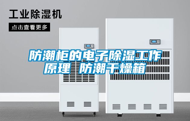 防潮柜的電子除濕工作原理 防潮干燥箱