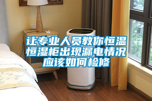 讓專業(yè)人員教你恒溫恒濕柜出現(xiàn)漏電情況應(yīng)該如何檢修