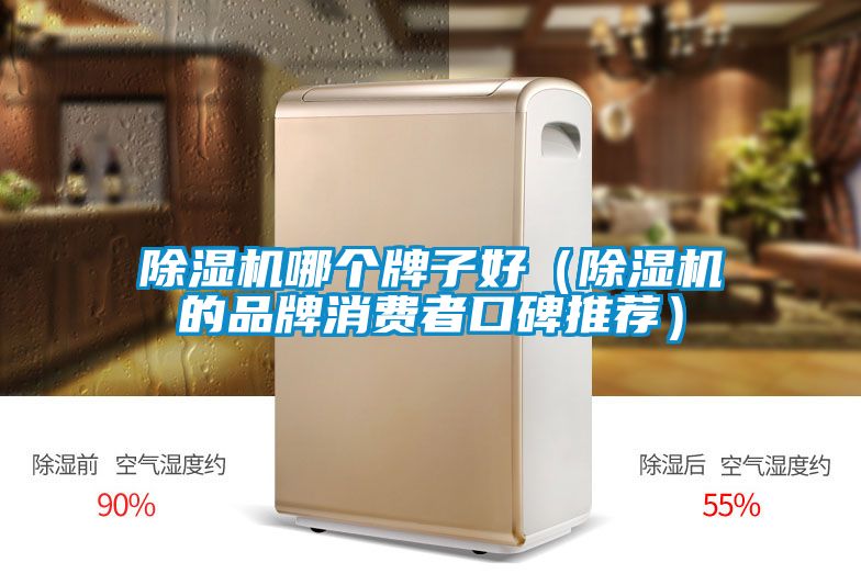 除濕機哪個牌子好（除濕機的品牌消費者口碑推薦）