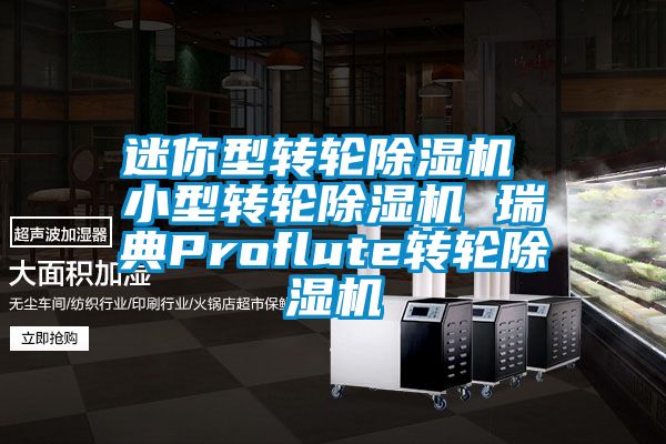 迷你型轉輪除濕機 小型轉輪除濕機 瑞典Proflute轉輪除濕機