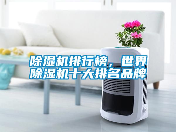 除濕機排行榜，世界除濕機十大排名品牌