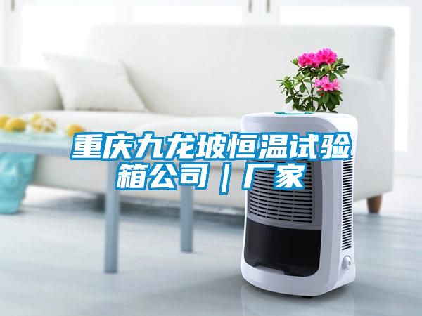重慶九龍坡恒溫試驗(yàn)箱公司｜廠家