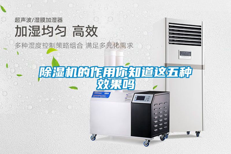 除濕機的作用你知道這五種效果嗎