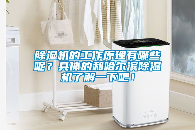 除濕機的工作原理有哪些呢？具體的和哈爾濱除濕機了解一下吧！