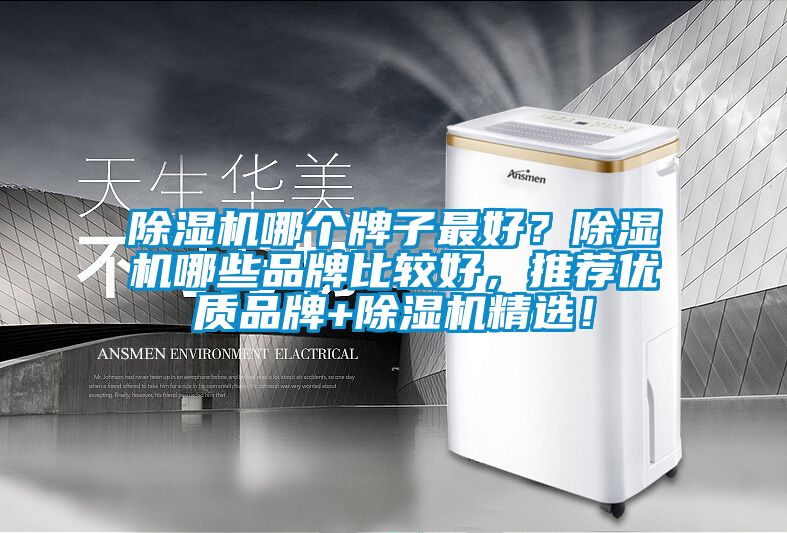 除濕機(jī)哪個(gè)牌子最好？除濕機(jī)哪些品牌比較好，推薦優(yōu)質(zhì)品牌+除濕機(jī)精選！